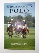 A Concise Guide To Polo - Image 1