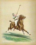 A Back Hit (set of 4) POLO TEAM PRIZE OPTION