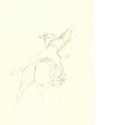 From The Back (Set of 4) POLO TEAM PRIZE OPTION - Image 1