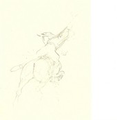 From The Back (Set of 4) POLO TEAM PRIZE OPTION