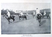 Polo In Italy