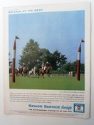 Woolmers Park Polo