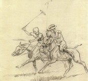 Where's The Ball?   (Set of 4) POLO TEAM PRIZE OPTION - New for