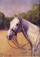 The Maltese Cat - Image 2