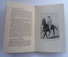 Polo Pony Training  - Image 2