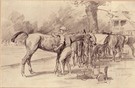 Between Chukars - Image 1