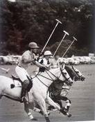 Patrick Churchward, Mark Vestey, Paul Withers at Cowdray Park