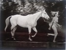 Early Morning Exercise - Image 1