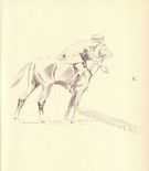 The Throw In - Image 1