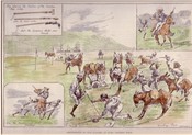 Donkey Polo 