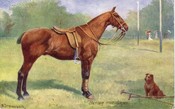 Edwardian Postcard -SOLD
