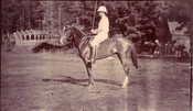 Officer on Polo Pony -SOLD