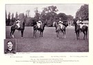 The Inniskillings (6th Dragoons Team) - Image 1