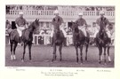 The All Ireland Polo Club Team 1905 - Image 1