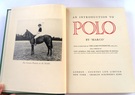 Marco: An Introduction to Polo - Image 3