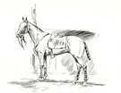 Ready - Image 1