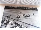 Polo - De Luxe Edition-SOLD - Image 5