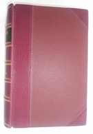 Modern Polo (Signed by the Author) - Image 1