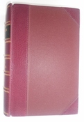 Modern Polo (Signed by the Author)