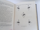 An Introduction to Polo by Marco (Signed by Marco) - Image 5