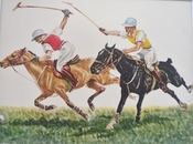 Rough Riding
