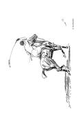 A Backhander