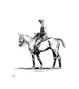The Umpire
