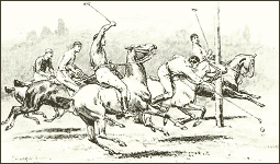 Polo Print - Goal by Frank Dadd